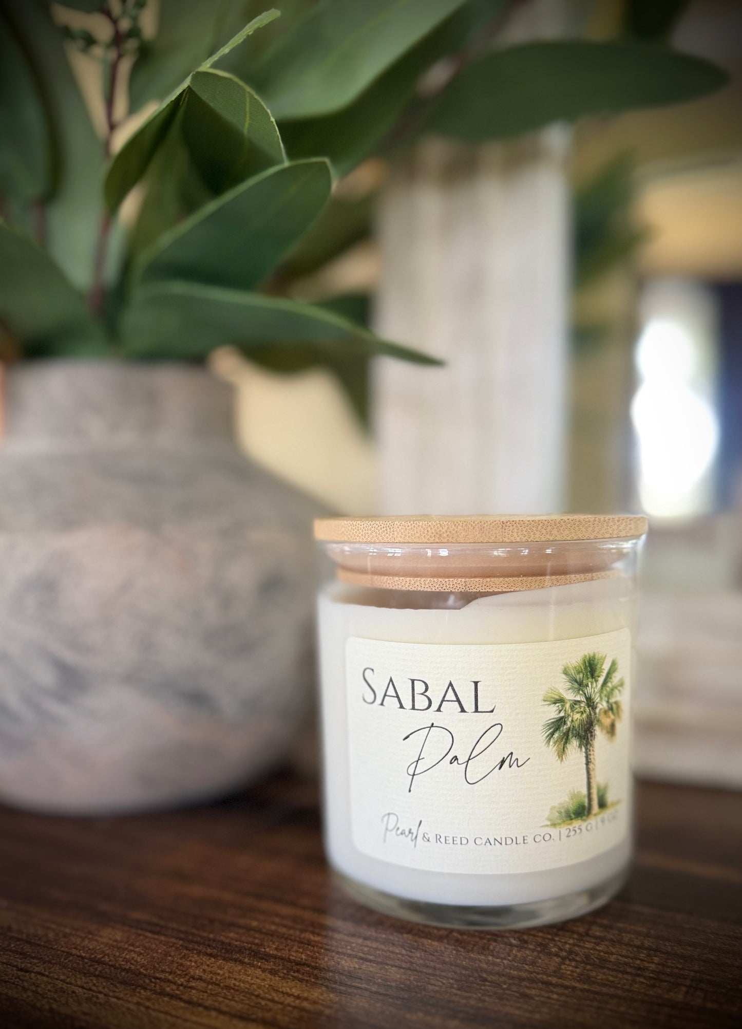 Sabal Palm
