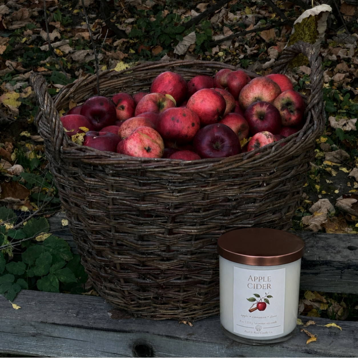 Apple Cider coconut soy candle by Pearl & Reed Candle Co.