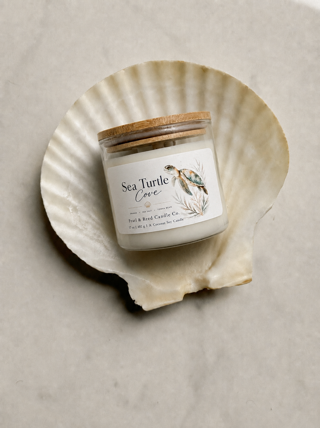 Sea Turtle Cove