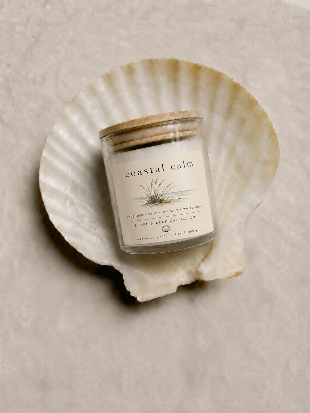 Coastal Calm