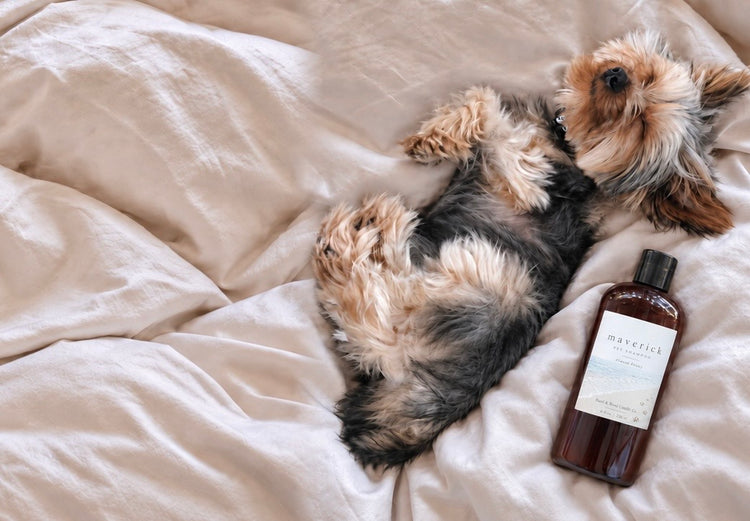 Pearl & Reed pet shampoo collection for the fur babies who are family