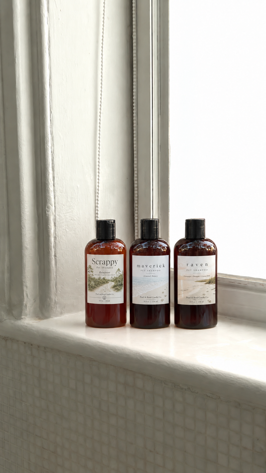 Three Pearl & Reed concentrated dog shampoos in Almond Honey, Rainforest and Caribbean Coconut