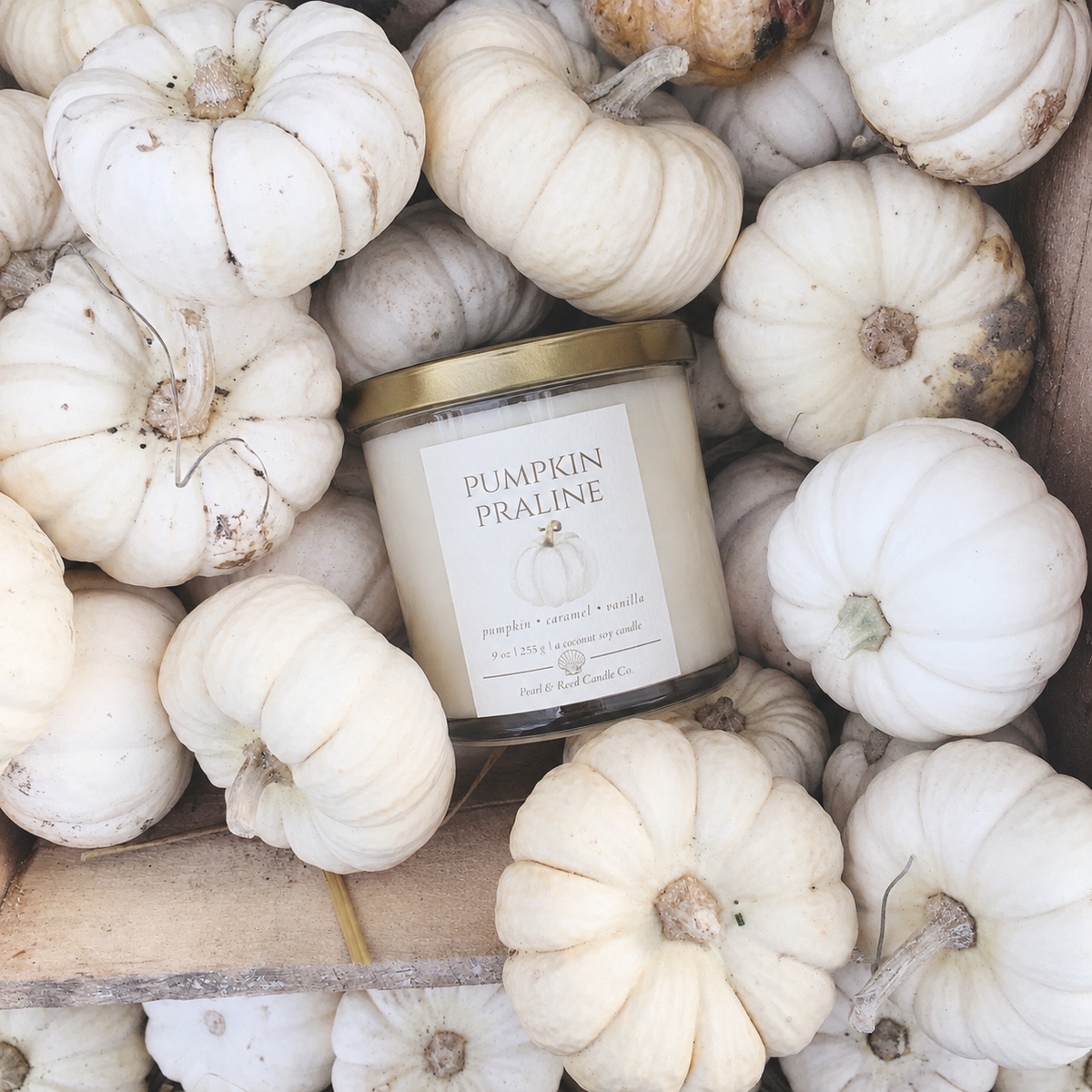Pumpkin Praline coconut soy candle by Pearl & Reed Candle Co.