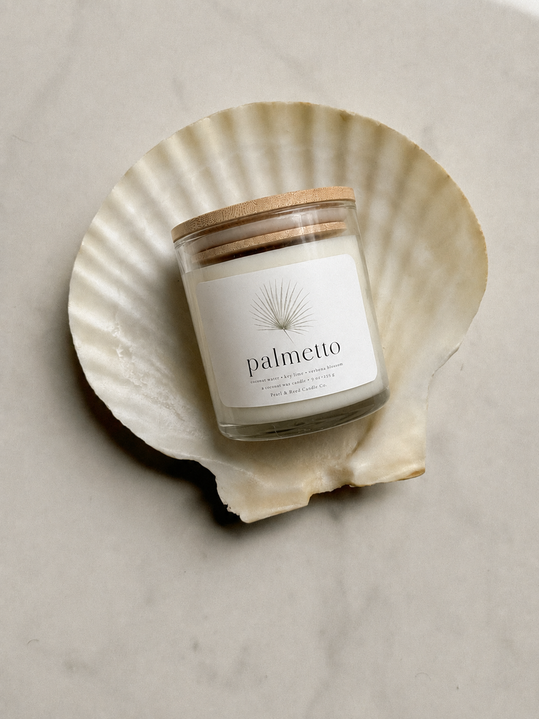 Palmetto