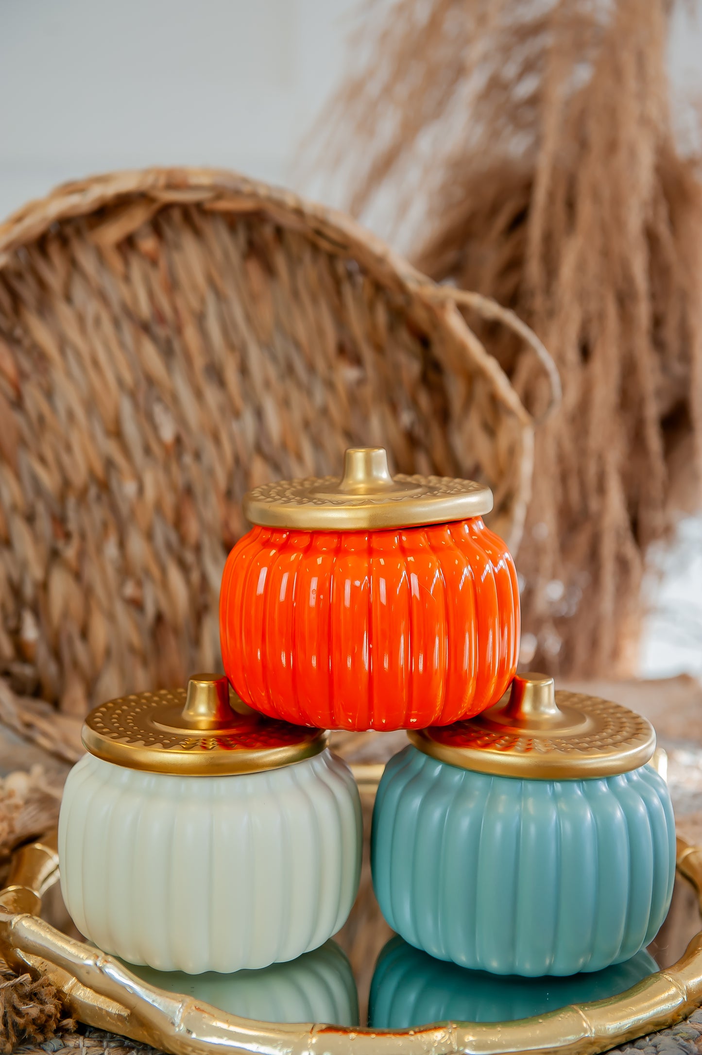 Coastal Harvest Glow